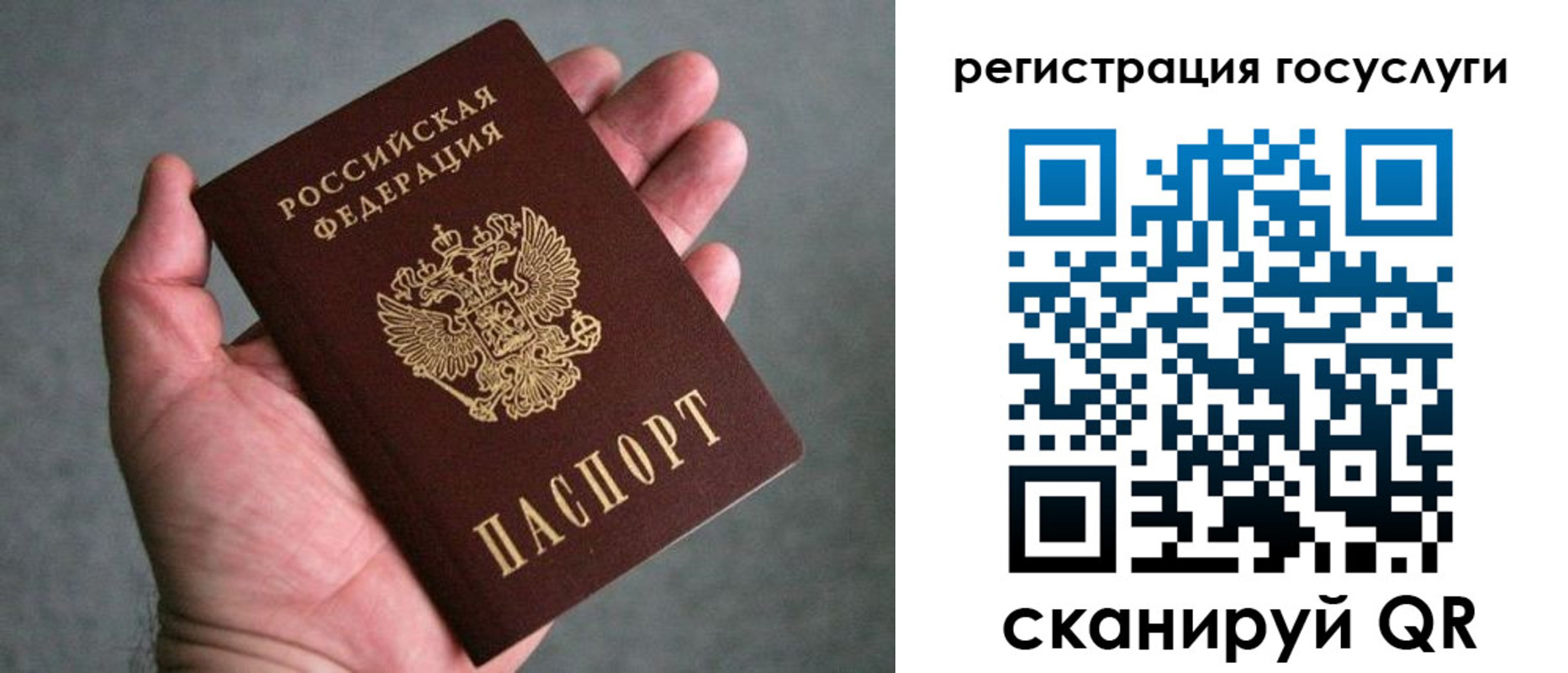 прописка поиск в Нижегородской области